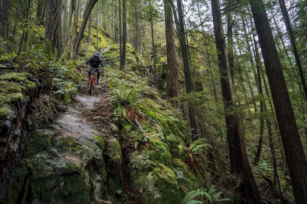 Ride to Resilience